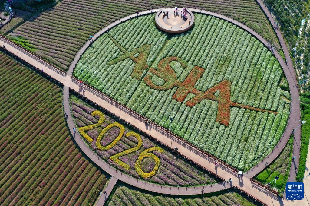 博鳌花开迎客来