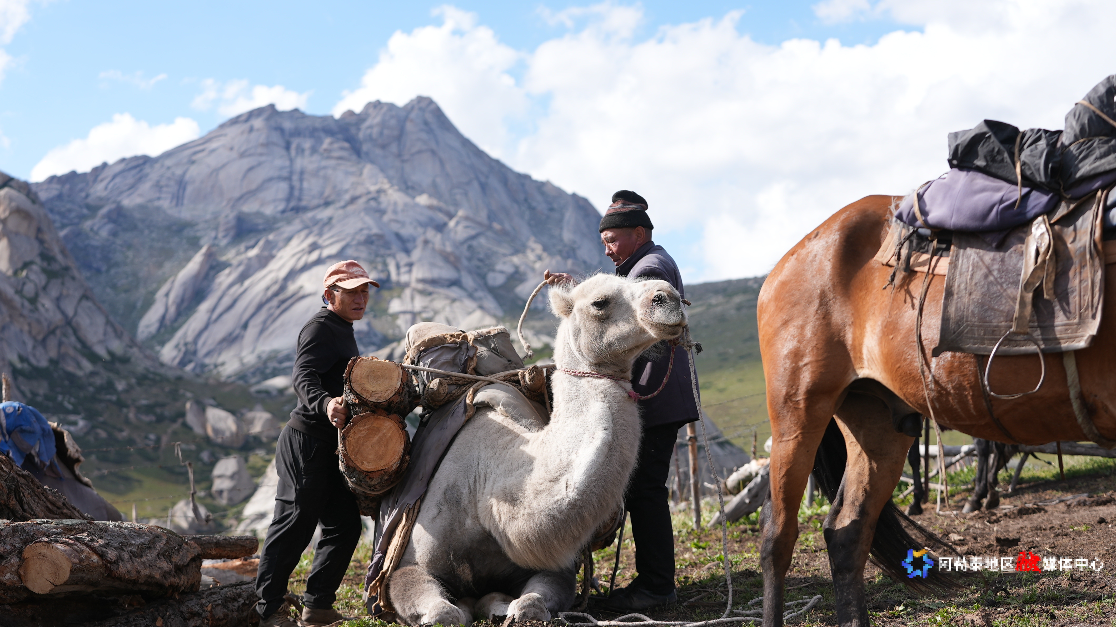 mmexport1753088804976