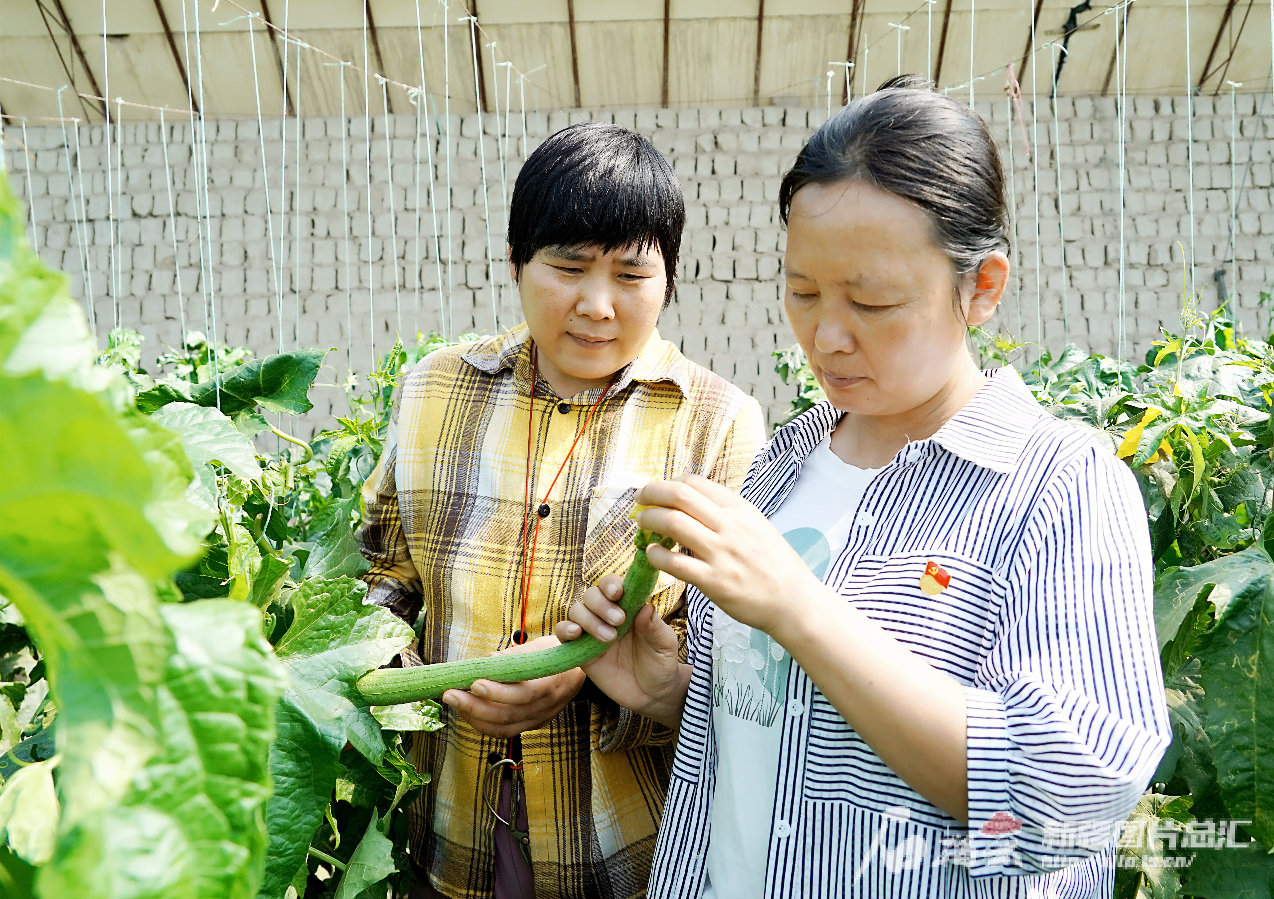 mmexport1740394300345