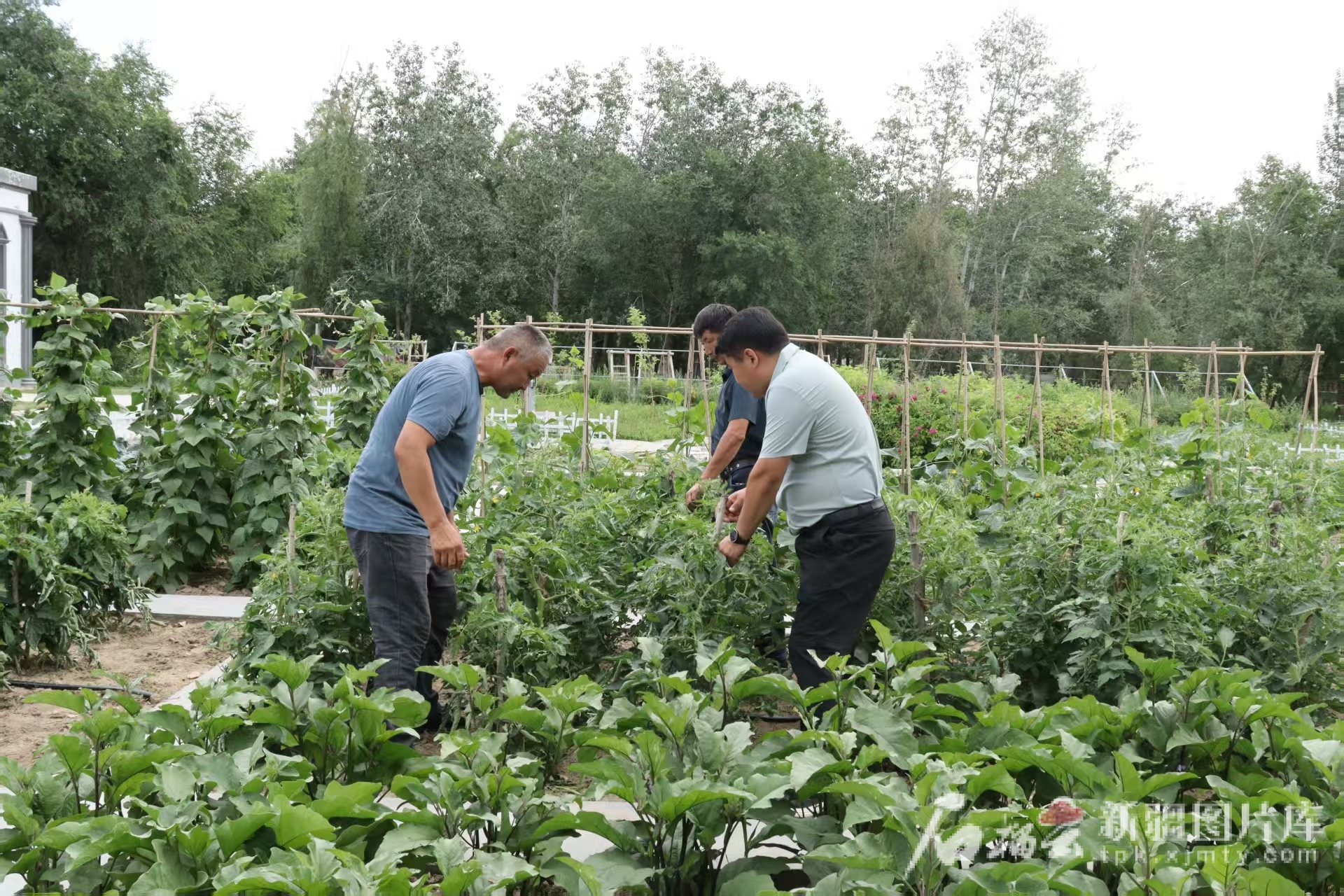 mmexport1750810564866